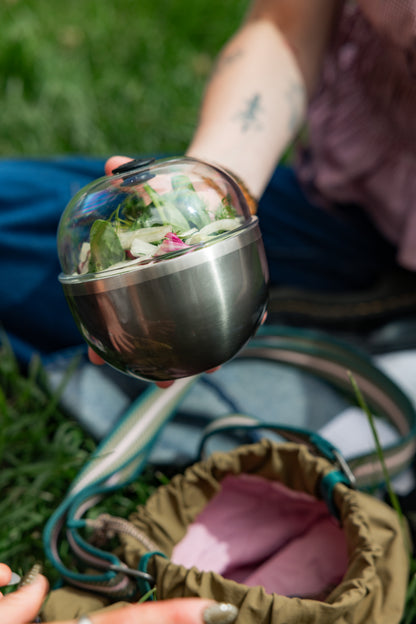 Go Bowl Insulated - Dome Lid | Nitro